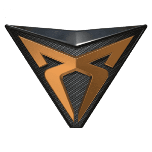 Reprogrammation Cupra